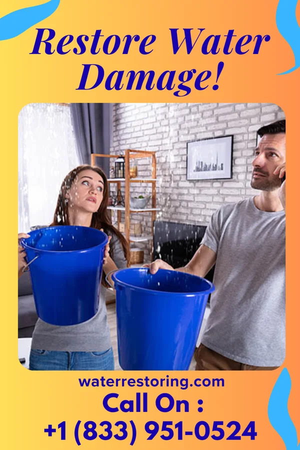 water restoration Allied Flood Cleanup Solutions Laura