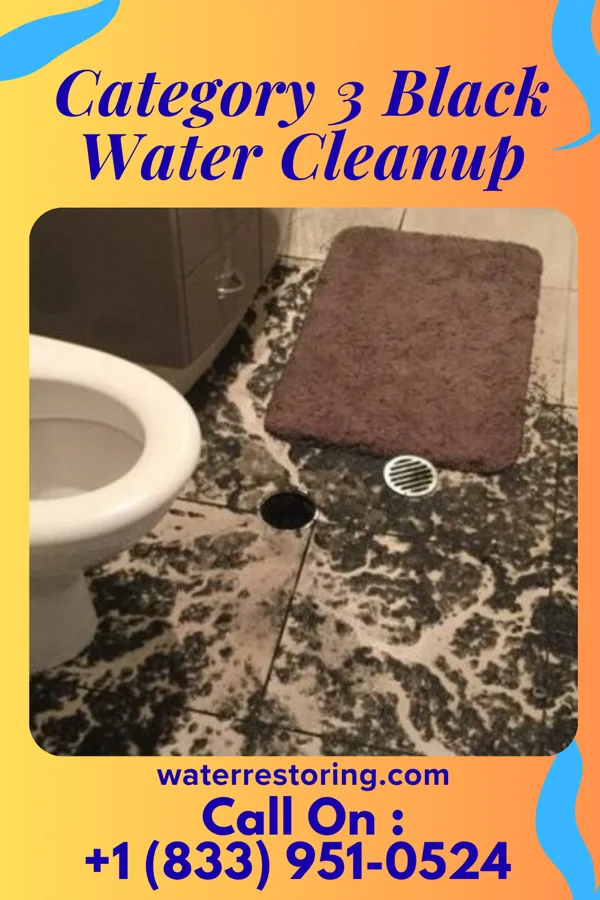 Category 3 Black Water Cleanup in Laura, OH